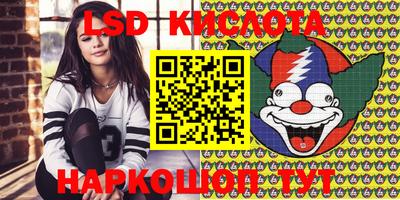 стафф Камышлов