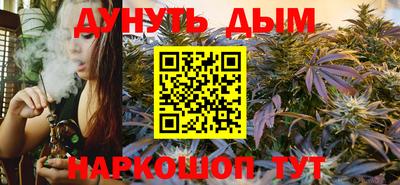 стафф Камышлов