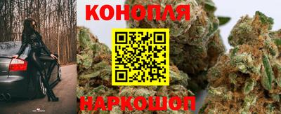 стафф Камышлов