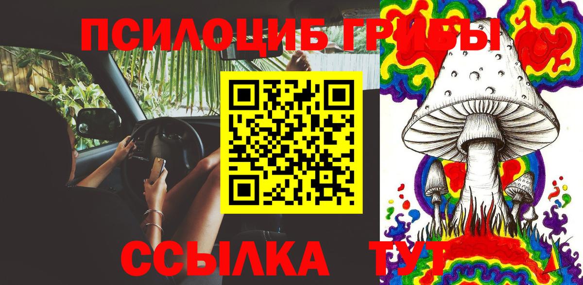 Галлюциногенные грибы Cubensis  Вход с VPN  Галлюциногенные грибы Psilocybe  где продают наркотики  Бутурлиновка 